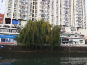 华诚大厦