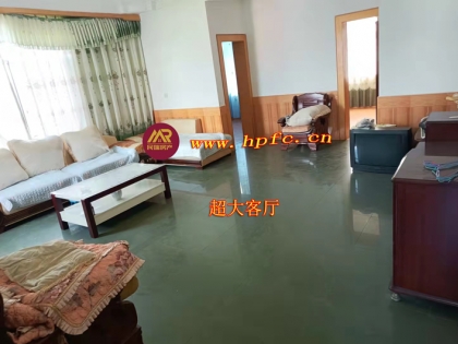 荣将镇个私街税务局小区套房出售