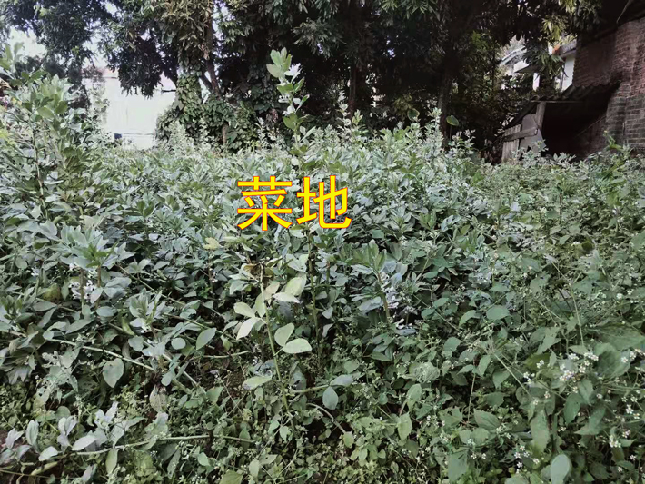20191217164947