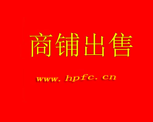十字街浦东商住楼正街（54.81）商铺出售